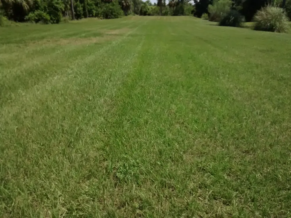 Large property mowing in Wimauma, FL