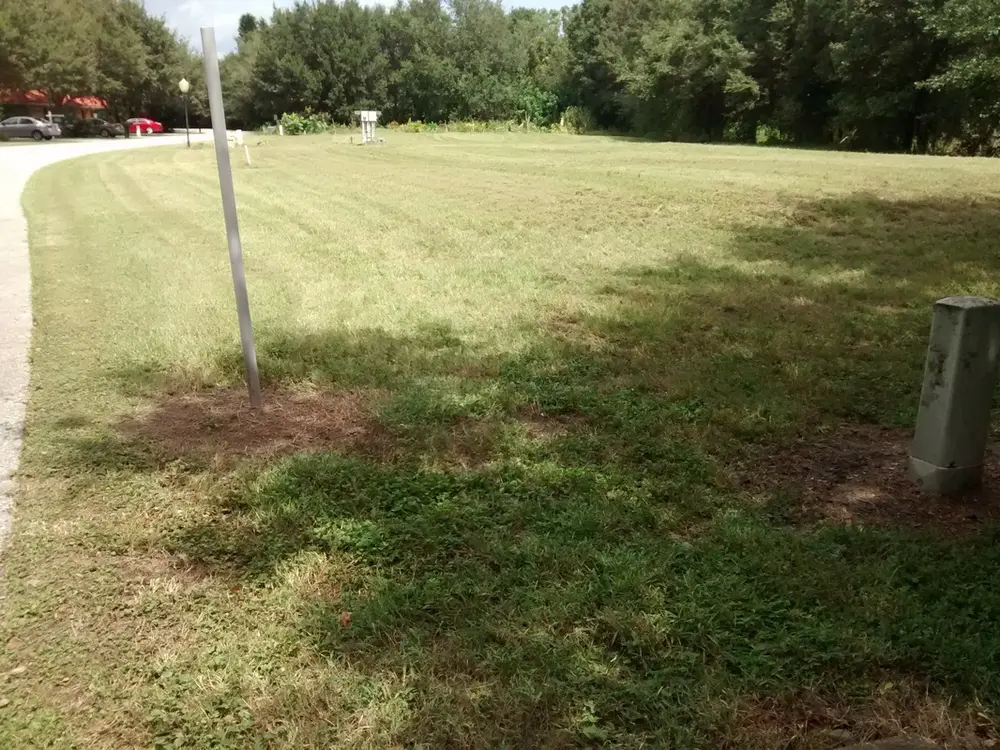Mowed corner lot along the roadside after lot mowing service