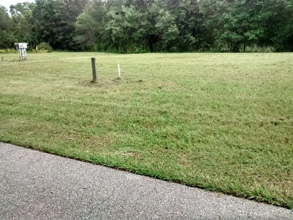 Developed lot mowed to county-compliant height along the street