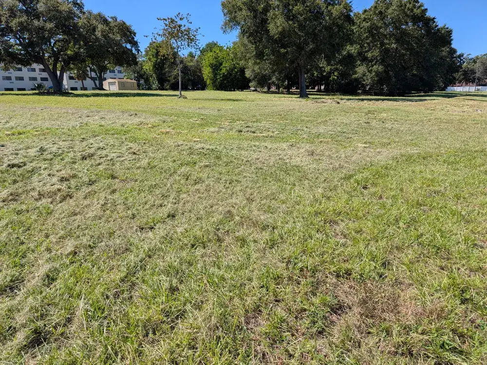 Mowed field with mature oak trees after field mowing service