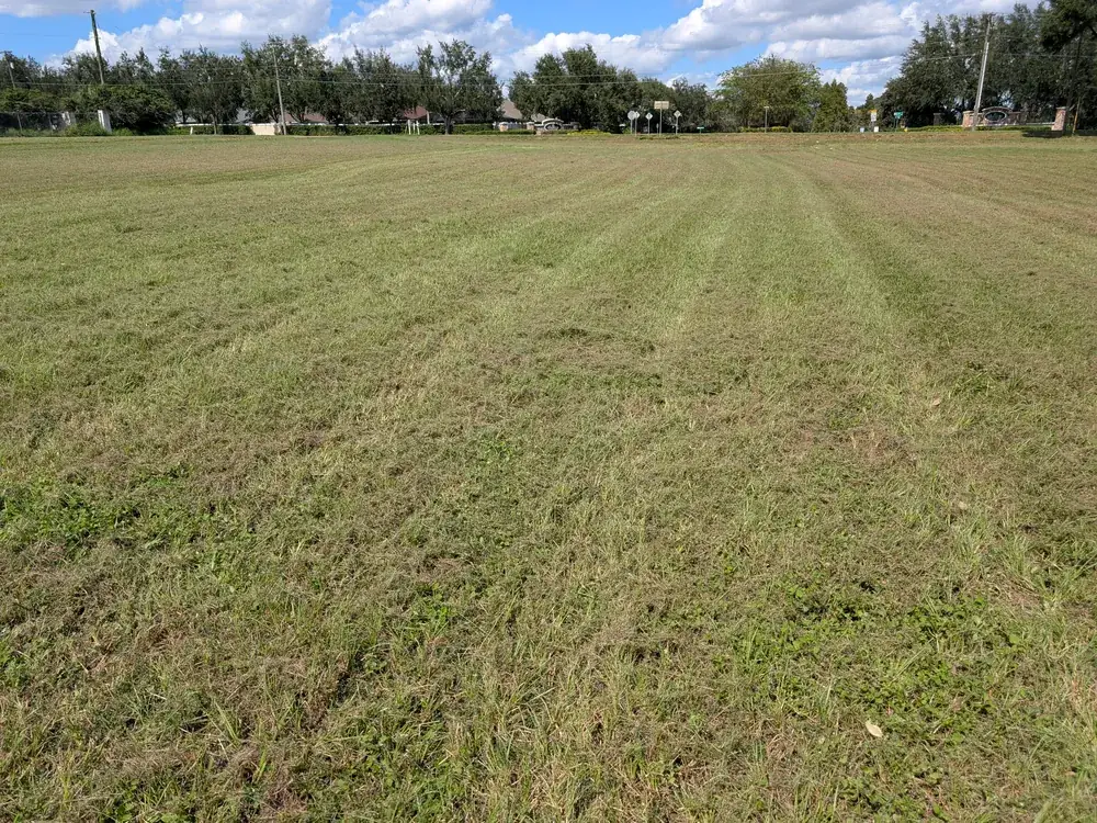 Large open field freshly mowed in straight passes along a subdivision entrance in Tampa Bay