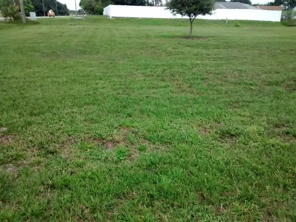 Finish mowing on a cleared lot in Riverview, FL