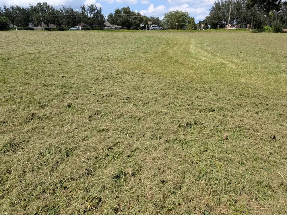 Tall field grass cut down by a tractor rotary cutter across a large open parcel