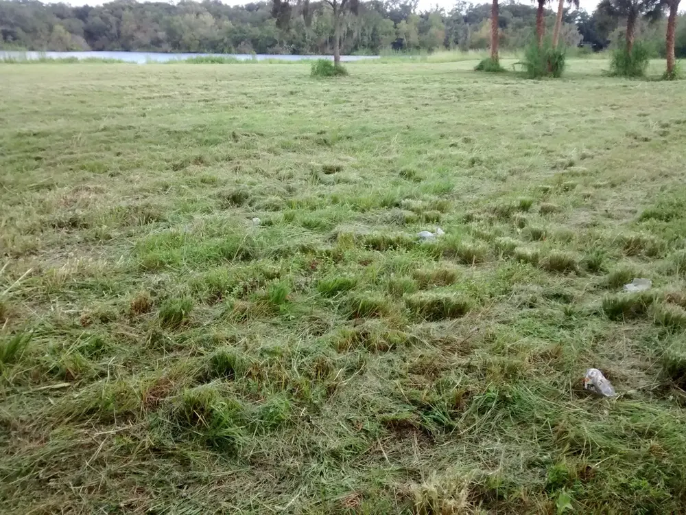 Heavy-duty mowing on a rough parcel beside a pond