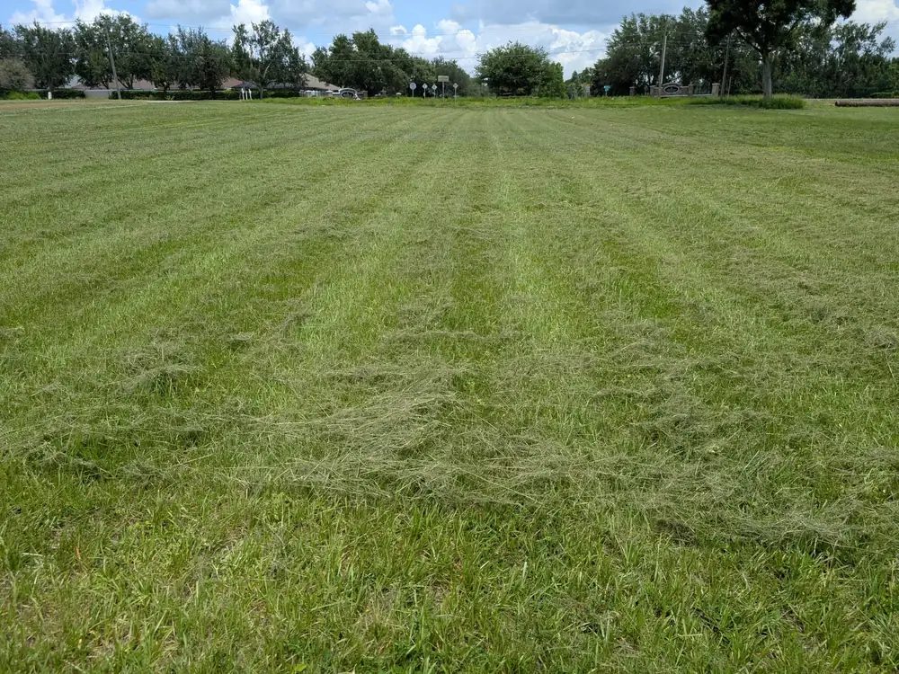 Large open lot mowed in straight, even passes across the acreage