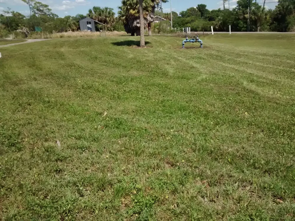 Lot mowing in St. Petersburg, FL