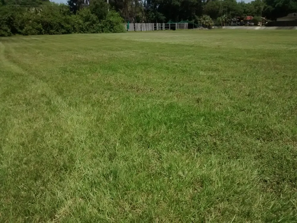 Open vacant lot mowed edge to edge